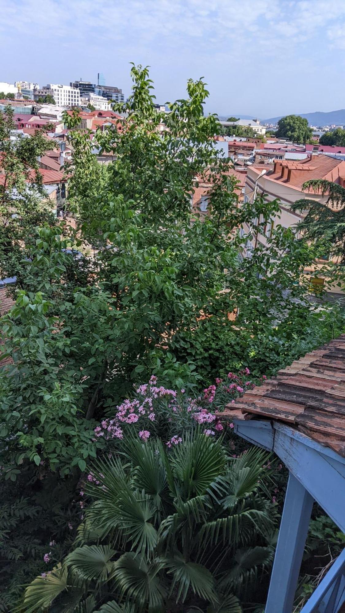 Hotel Kalanga Tbiliszi Szoba fotó